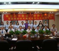 電力集團管控精細化 戰略轉型與效率提升的必由之路