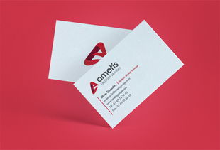 Ametis技術開發公司企業品牌形象設計與策劃方案